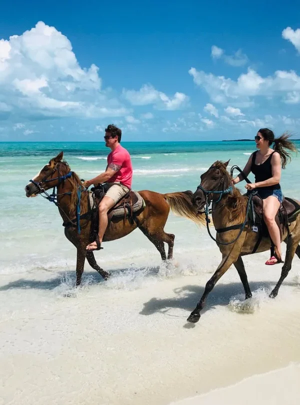 Horseback Riding & ATV Tour